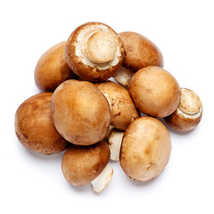 champignon mushroom isolated on white