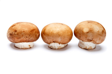 champignon mushroom isolated on white