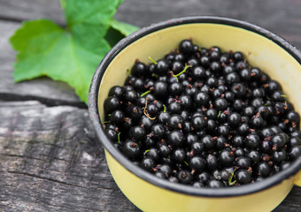 Black currants closeup in pot on rustic wood background