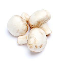 Fototapeta na wymiar champignon mushroom isolated on white