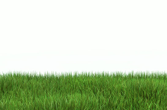 Green grass lawn with a copy space © riakhinantonUkraine