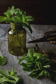 Sprig of mint in the garden green jar on a gray stone background