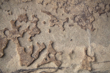 una parete di roccia 