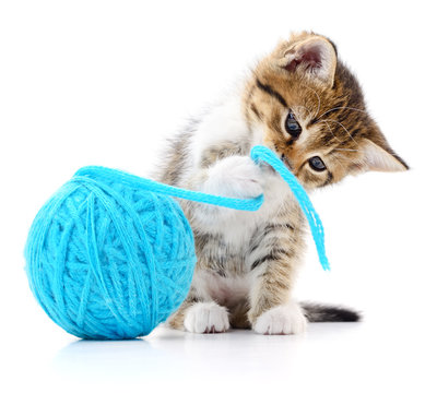 Cat With Ball Of Yarn