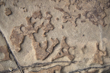 una parete di roccia