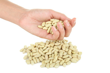 Haricot  beans in woman hand isolated on white background.