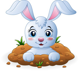 Happy bunny cartoon in the hole