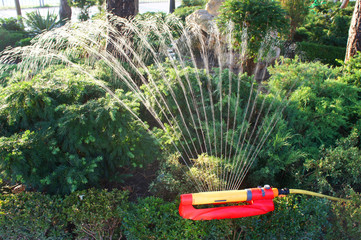 Water sprinkler in garden