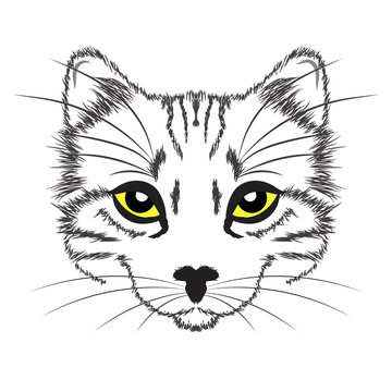 line drawing cat