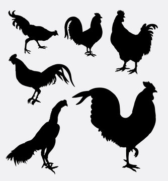 Rooster and chicken animal silhouette. Good use for symbol, logo, web icon, sticker, sign, mascot, or any design you want.