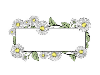 Daisy Flower Frame With Copyspace