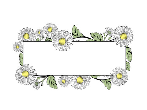 Daisy Flower Frame With Copyspace