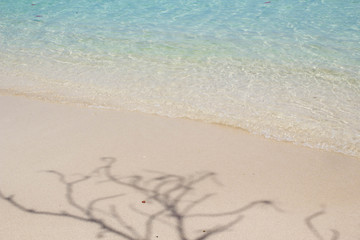Fototapeta na wymiar tree shadow on beach