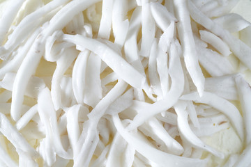 Coconut slice background texture