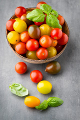 Tomatoes an gray background. Colorful tomatoes, red tomatoes, ye