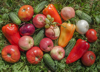 Still life with delicious and juicy fruits and vegetables in the grass

