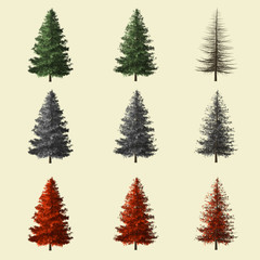 Obraz premium Spruce tree season change set,summer winter autumn 3d rendering isolated for landscape designer.