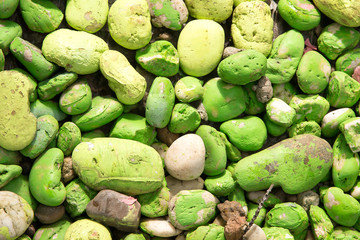 Colorful stone background