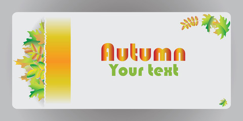 Autumn banner with maple leaves.
Vector image for design cards, presentations, posters, brief information.