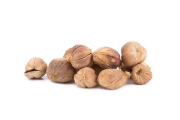 Clustered Cardamom, Camphor Seed