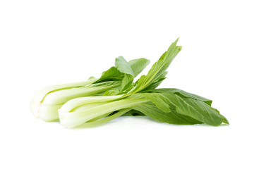Pok Choi on white background
