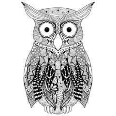 Hand drawn owl  in doodle style. Vector illustration