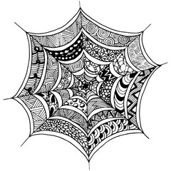 Hand drawn spider's web  in doodle style. Vector illustration