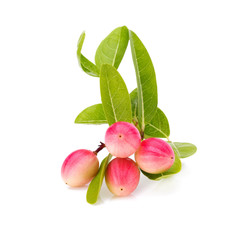 Carunda or Karonda on white background