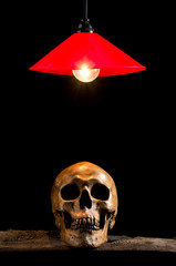 lamp and skull on wood in dark place