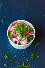 Fototapeta na wymiar The concept of healthy eating fresh vegetable salad radishes