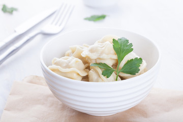 appetizing pelmeni in a beautiful white bowl with sauce and spices