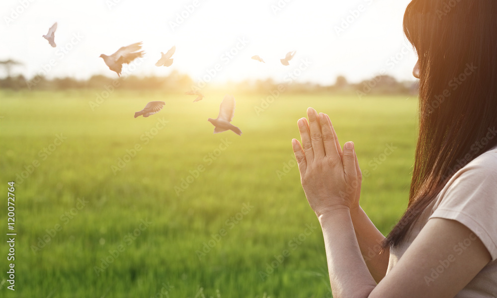 Leinwandbilder Woman respect and pray on nature background
