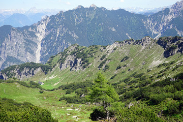 Naklejka premium Farm house in Lichtenstein