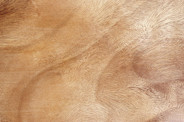 Fototapeta premium burr soft brown wood texture background