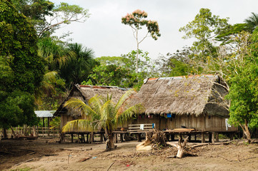 Fototapeta na wymiar Peruvian Amazonas, Indian settlement