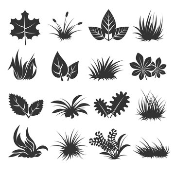 Leaves and grass vector icons
