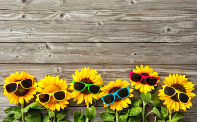Naklejka premium Sunflowers with sunglasses