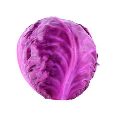 Obraz premium Purple cabbage on white background