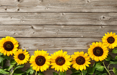 Naklejka premium sunflowers on wooden board