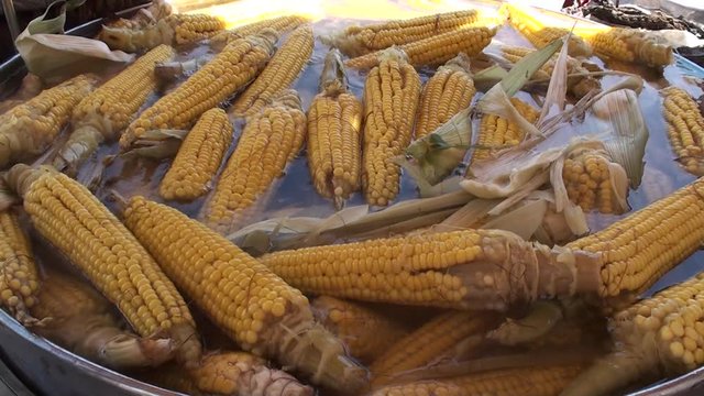 Pannocchie fresche in cottura