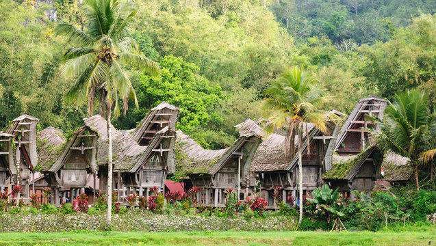 Indonesia, Sulawesi, Tana Toraja, Traditional village