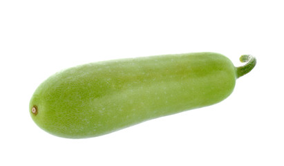 winter melon on white background