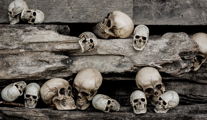 still life photography : group of many skull in genocide concept