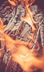 birch firewood burning in an iron brazier 