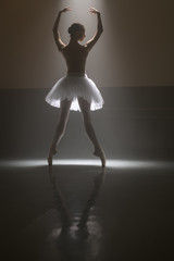 Ballet dancer from behind