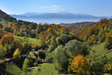 Mountain autumn landscape with colorful forest
