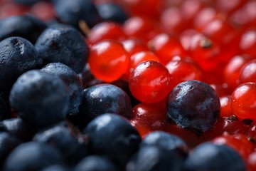 Berries closeup photo