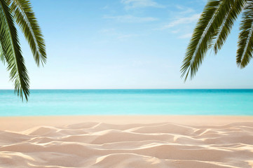 Empty, defocused tropical beach background with copy space