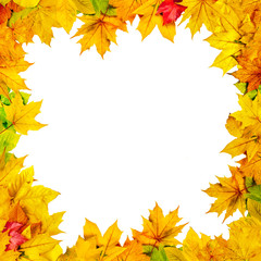 Naklejka na ściany i meble Herbstblätter als Rahmen vor weißem Hintergrund
