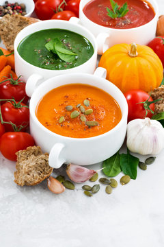 assortment of fresh vegetable cream soups and ingredients 